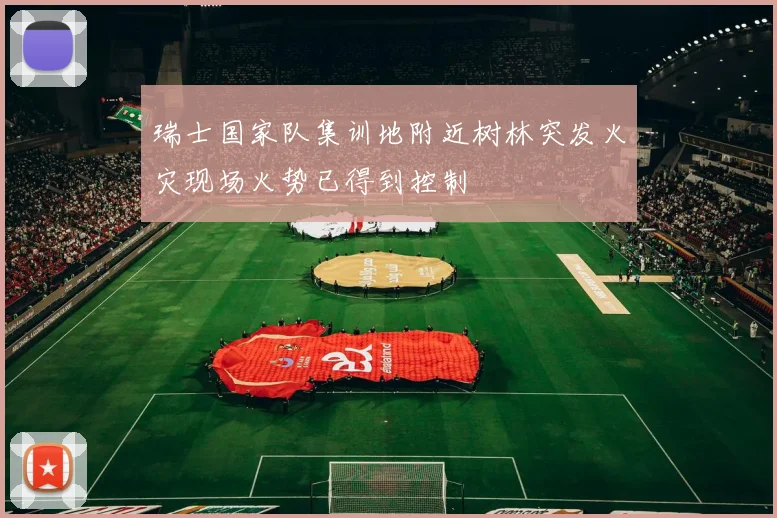 瑞士国家队集训地附近树林突发火灾现场火势已得到控制